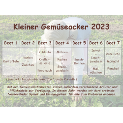 pflanzplan2023_2