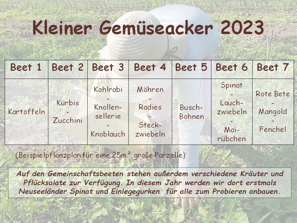 Pflanzplan für kleinen Gemüseacker